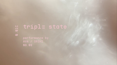 Image for Triple State