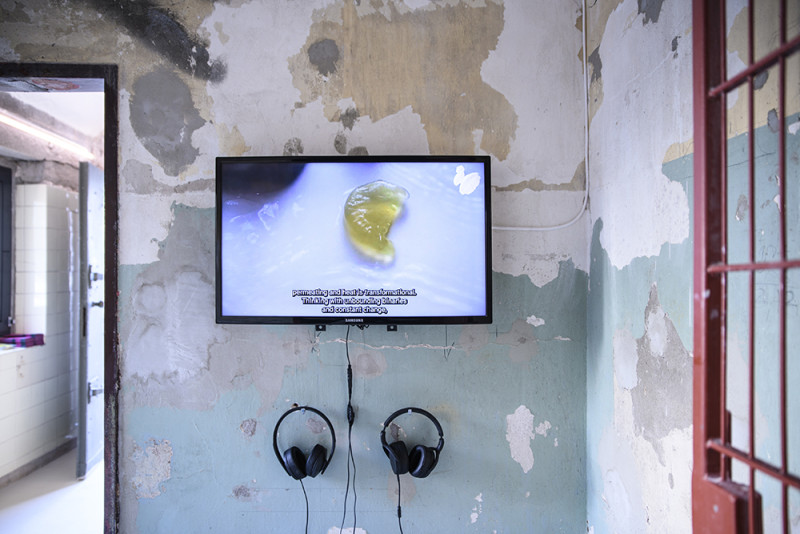 Video on screen, on the wall. Headphones hang next to it.