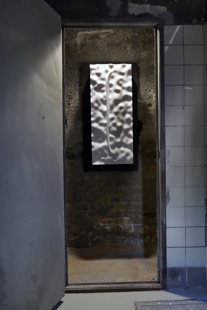 Artwork from Phillip Sulke, 40 days 40 nights