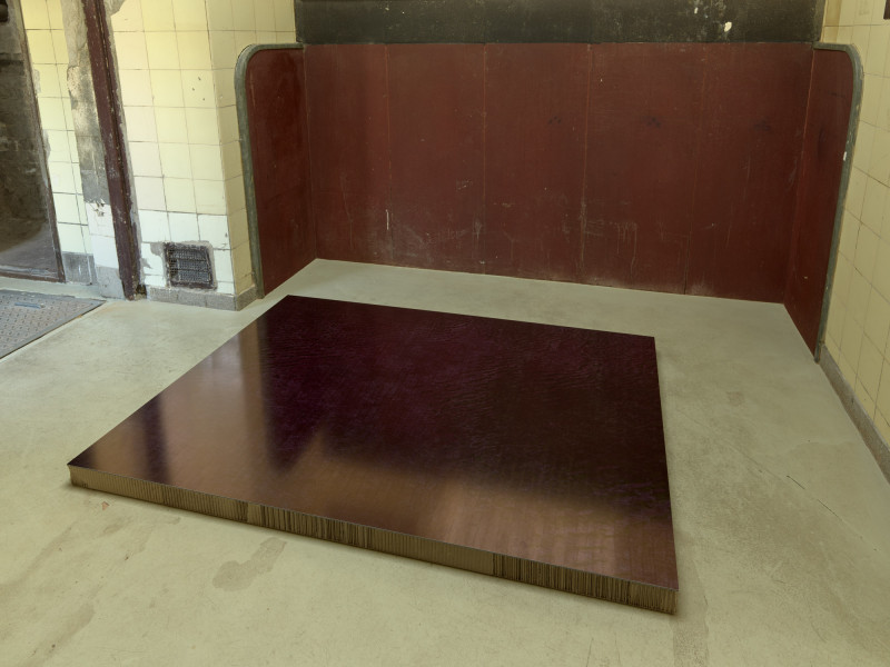 Bild für EARTH'S SHADOW, MOON'S CRUST