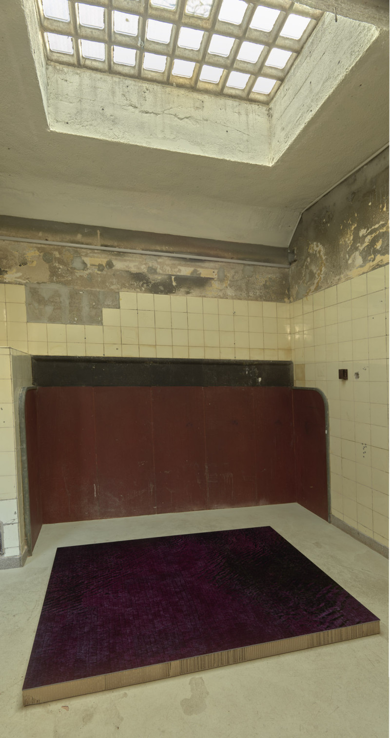 Bild für EARTH'S SHADOW, MOON'S CRUST