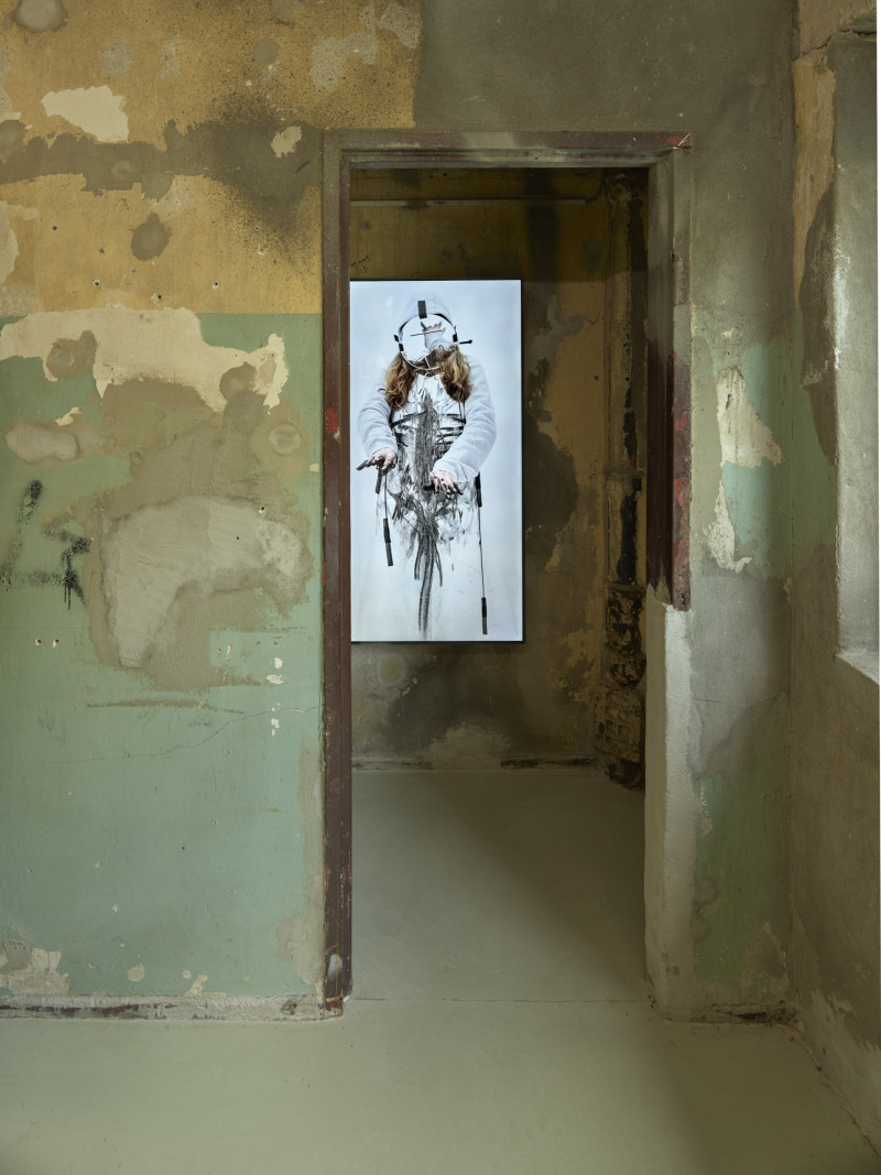 Bild für EARTH'S SHADOW, MOON'S CRUST