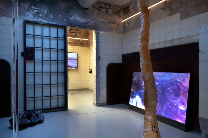 Blick auf das Werk von Caterina Gobbi, My eyes are wild, my lips tight pressed