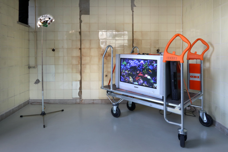 Rauminstallation. Es steht ein alter Fernseher auf einem Einkaufswagen, daneben steht eine Lampe.