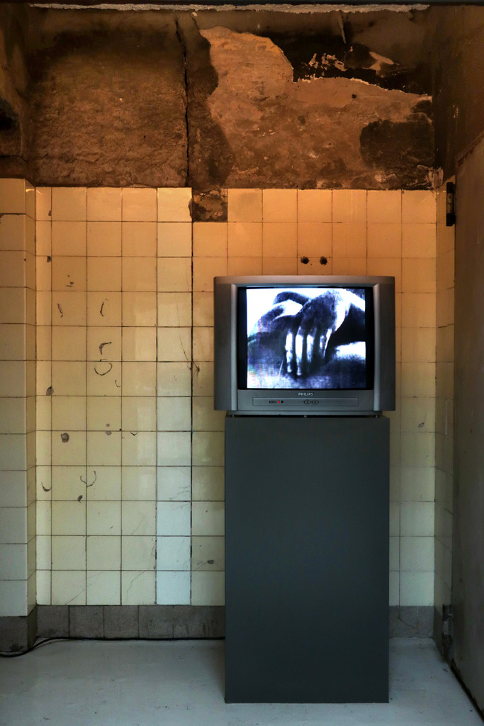 Bild für Von Urinalen und Ornamenten