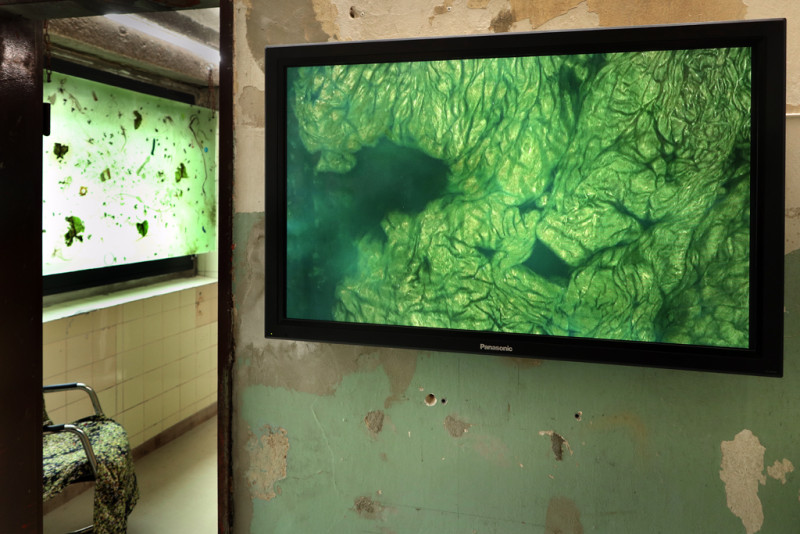 Image for You are among us, we are among you