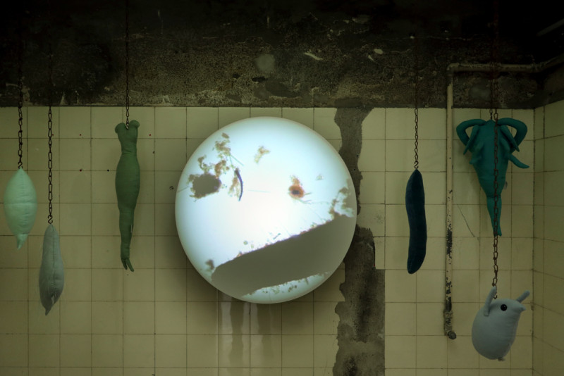 Image for You are among us, we are among you