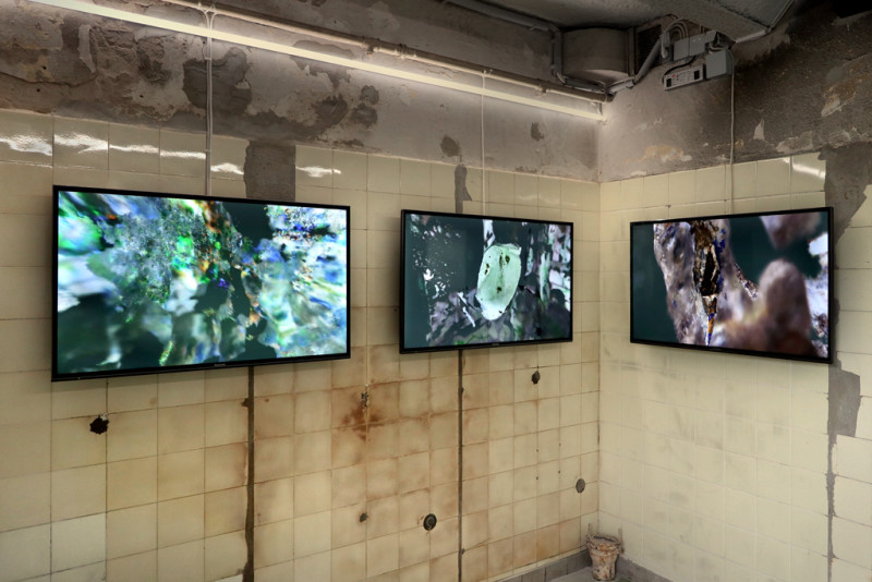 Image for You are among us, we are among you