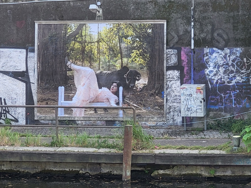 Image for Nezaket Ekici