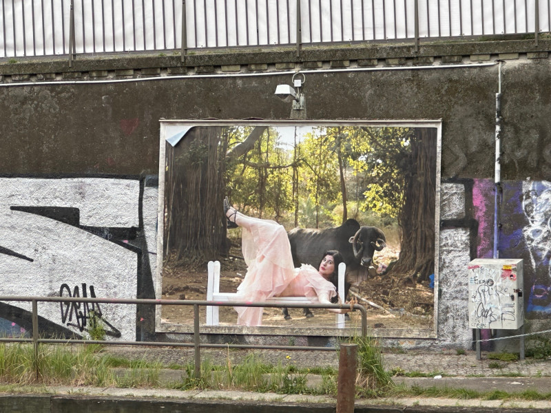 Image for Nezaket Ekici