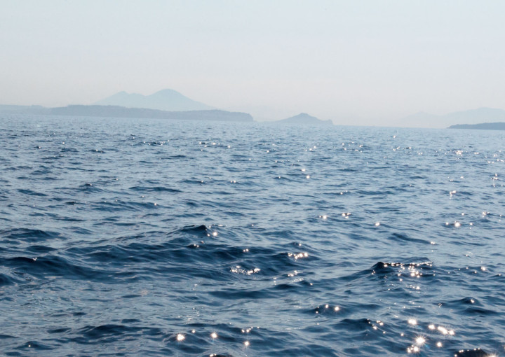 Petra Spielhagen: Neptune’s...01