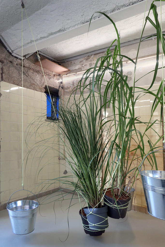 Sophia Pompéry, Neubezug