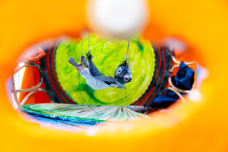 Transit-Theater-Berlin: Wenn ich ein Vöglein wär (Theater Lambe Lambe)